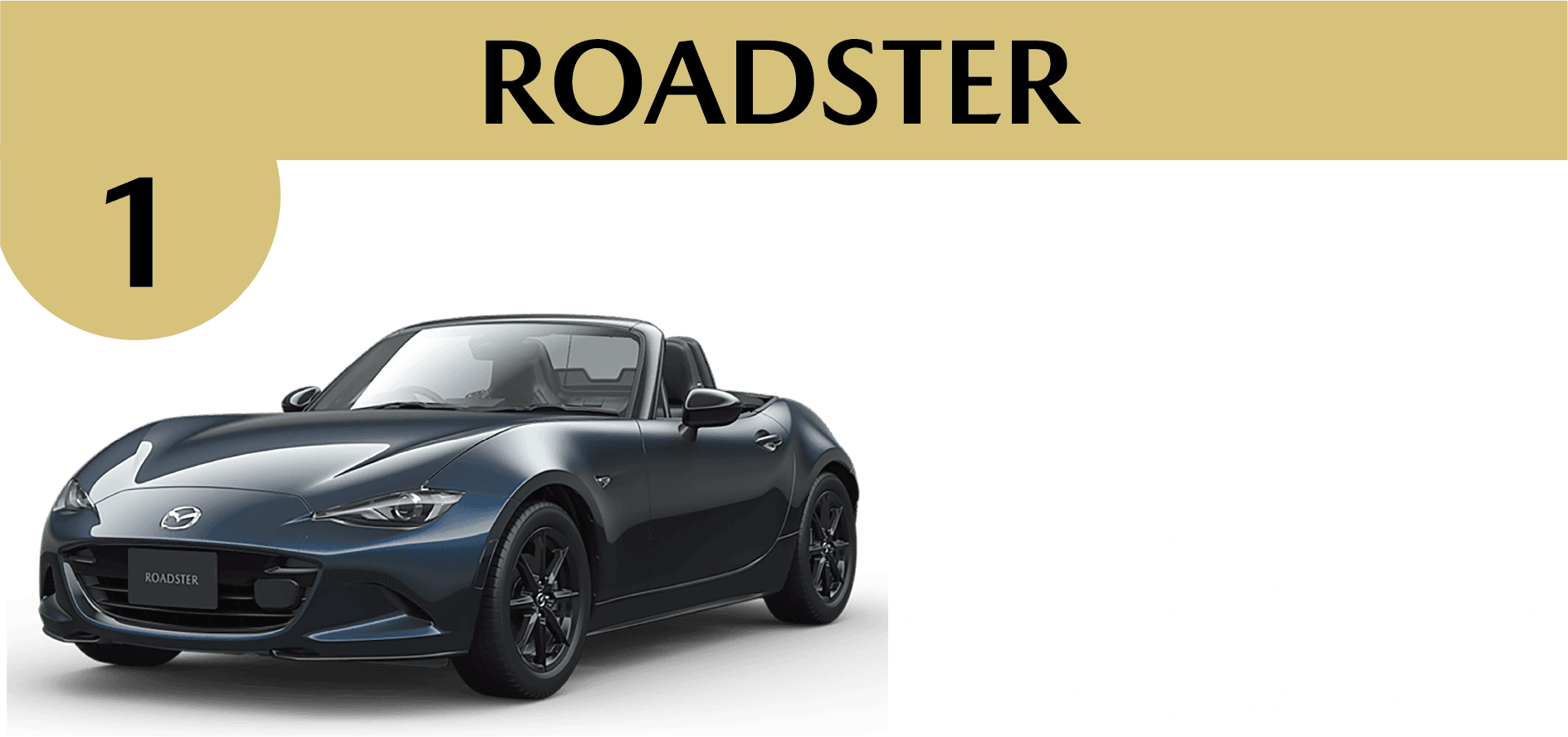 ROADSTER