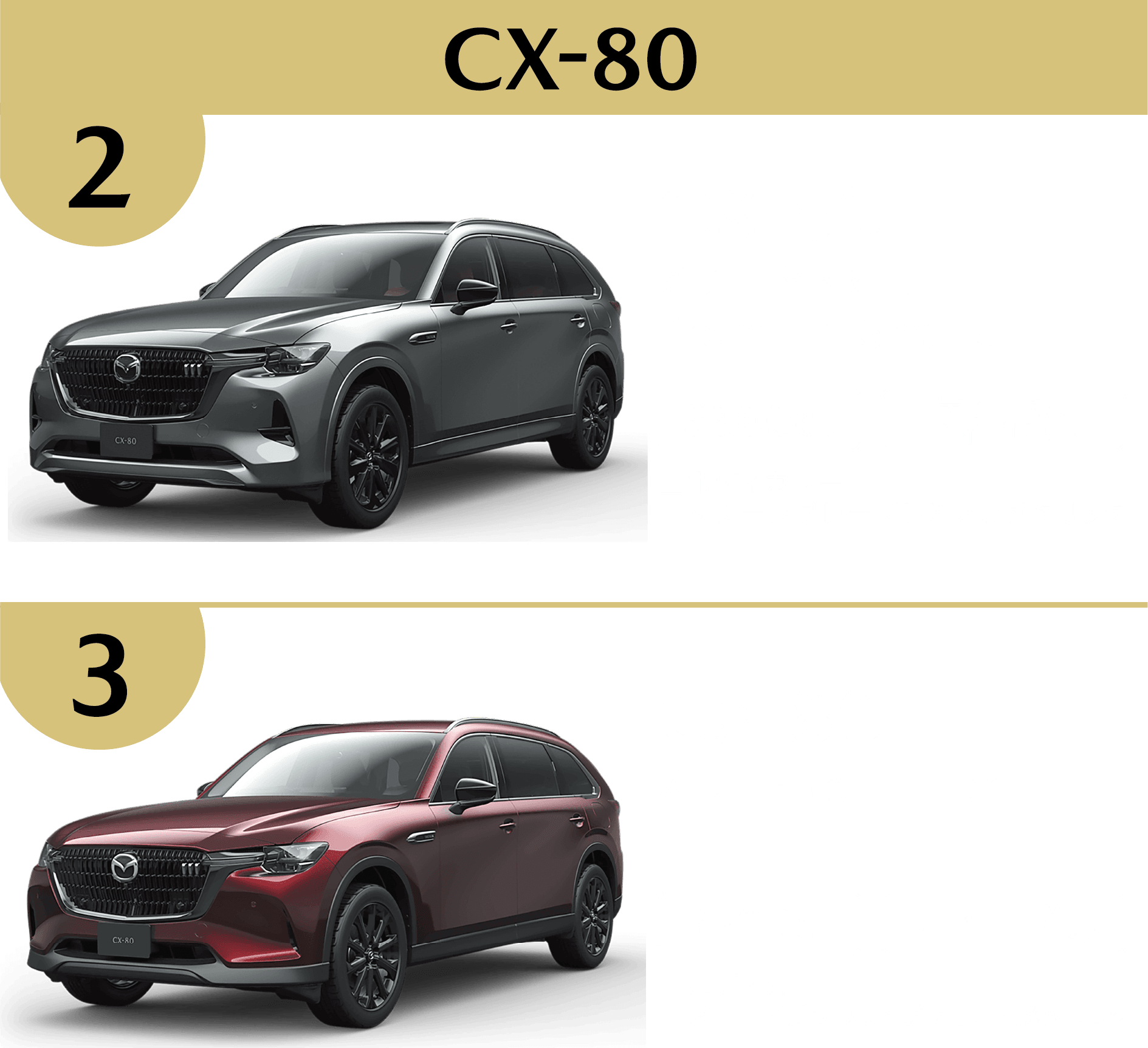 CX-80
